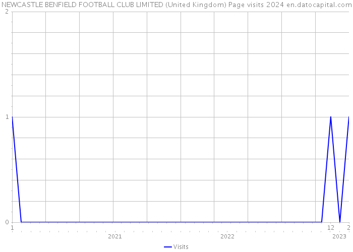 NEWCASTLE BENFIELD FOOTBALL CLUB LIMITED (United Kingdom) Page visits 2024 