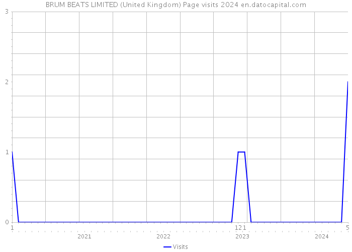 BRUM BEATS LIMITED (United Kingdom) Page visits 2024 