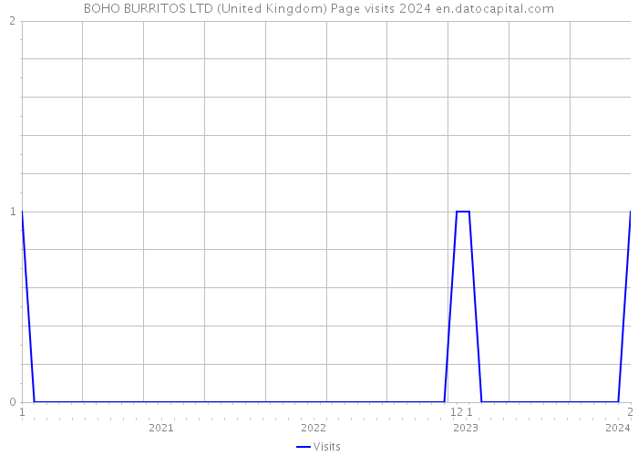 BOHO BURRITOS LTD (United Kingdom) Page visits 2024 