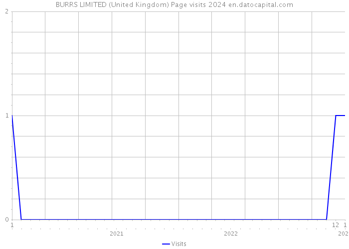 BURRS LIMITED (United Kingdom) Page visits 2024 
