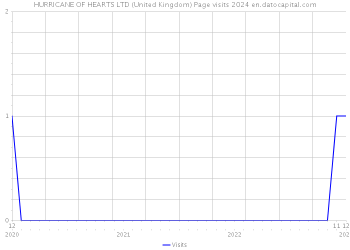 HURRICANE OF HEARTS LTD (United Kingdom) Page visits 2024 