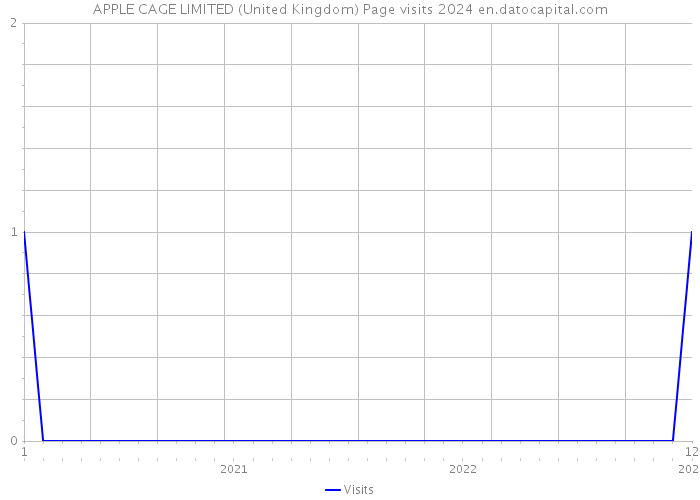 APPLE CAGE LIMITED (United Kingdom) Page visits 2024 