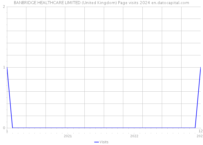 BANBRIDGE HEALTHCARE LIMITED (United Kingdom) Page visits 2024 
