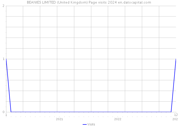 BEANIES LIMITED (United Kingdom) Page visits 2024 