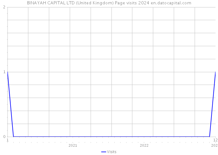 BINAYAH CAPITAL LTD (United Kingdom) Page visits 2024 