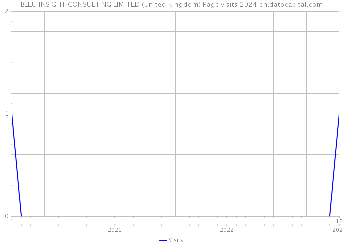 BLEU INSIGHT CONSULTING LIMITED (United Kingdom) Page visits 2024 