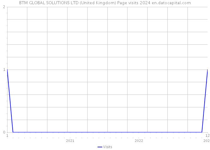 BTM GLOBAL SOLUTIONS LTD (United Kingdom) Page visits 2024 