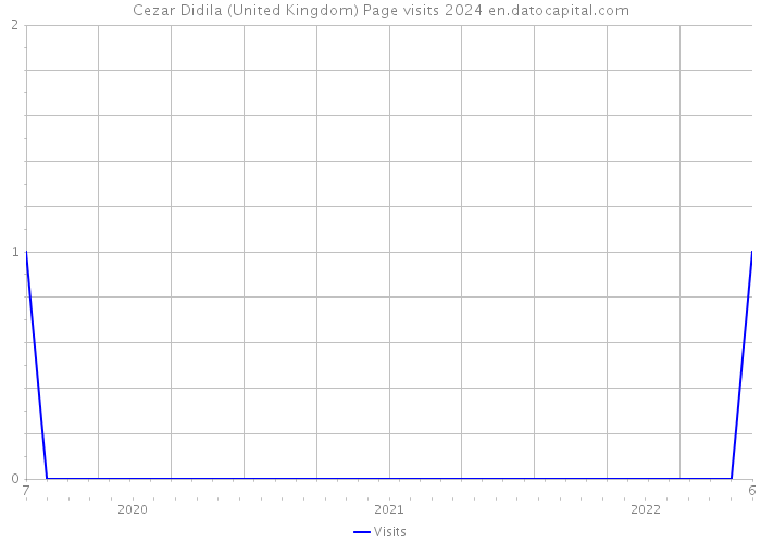 Cezar Didila (United Kingdom) Page visits 2024 