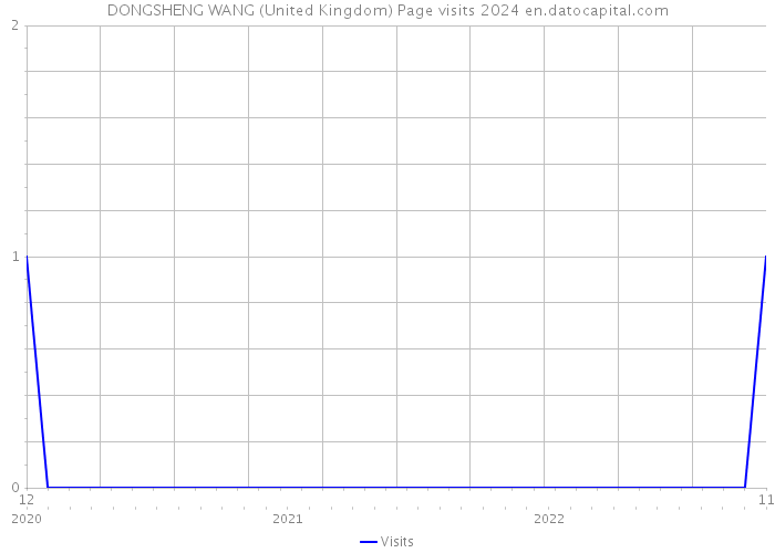 DONGSHENG WANG (United Kingdom) Page visits 2024 