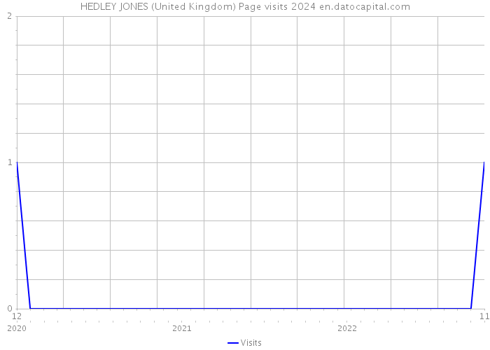 HEDLEY JONES (United Kingdom) Page visits 2024 