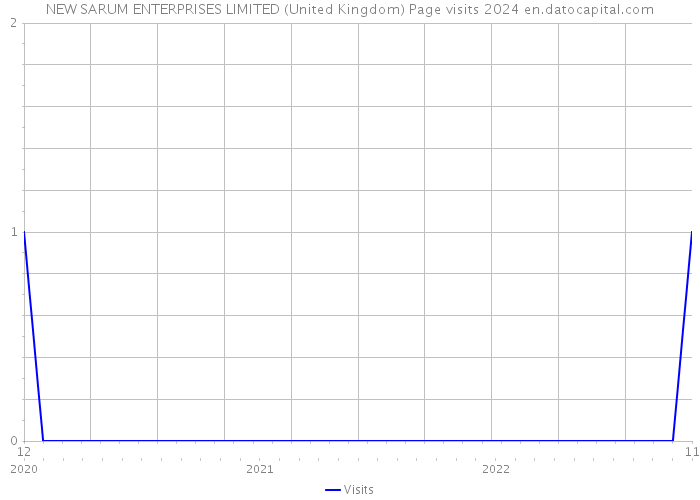 NEW SARUM ENTERPRISES LIMITED (United Kingdom) Page visits 2024 