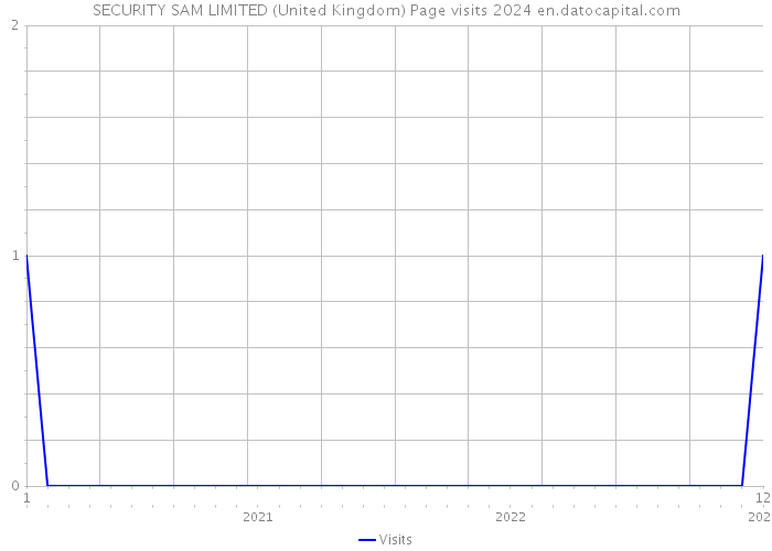 SECURITY SAM LIMITED (United Kingdom) Page visits 2024 