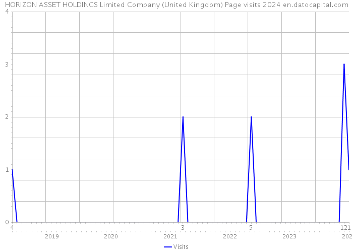 HORIZON ASSET HOLDINGS Limited Company (United Kingdom) Page visits 2024 