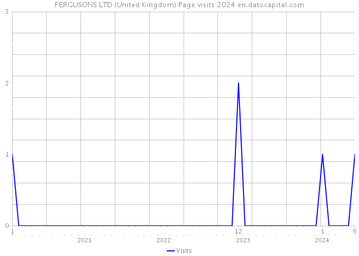 FERGUSONS LTD (United Kingdom) Page visits 2024 