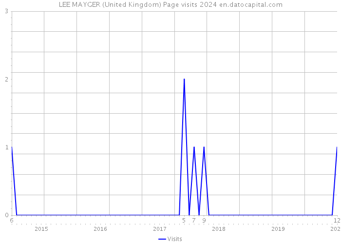 LEE MAYGER (United Kingdom) Page visits 2024 