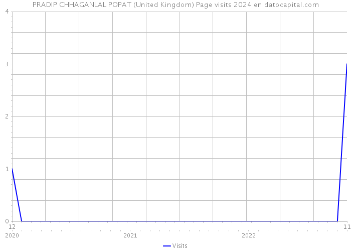 PRADIP CHHAGANLAL POPAT (United Kingdom) Page visits 2024 