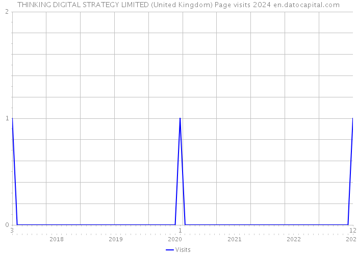 THINKING DIGITAL STRATEGY LIMITED (United Kingdom) Page visits 2024 