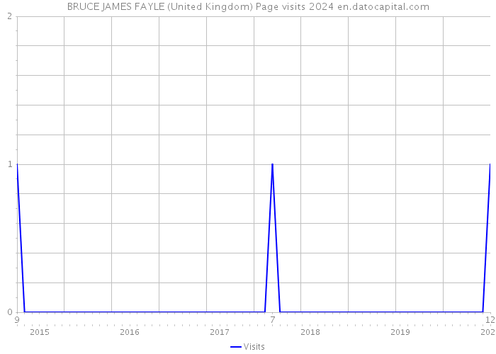 BRUCE JAMES FAYLE (United Kingdom) Page visits 2024 