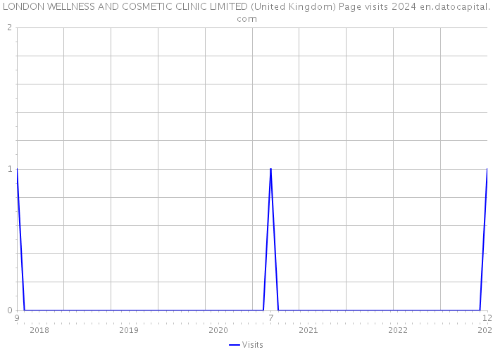 LONDON WELLNESS AND COSMETIC CLINIC LIMITED (United Kingdom) Page visits 2024 