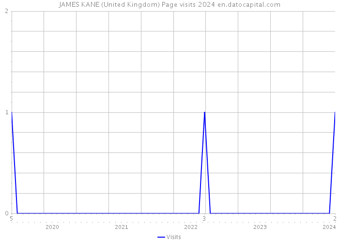 JAMES KANE (United Kingdom) Page visits 2024 