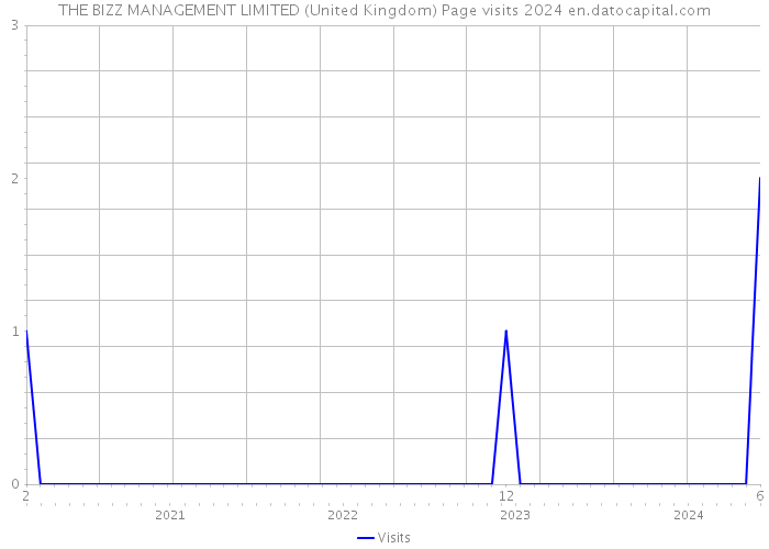 THE BIZZ MANAGEMENT LIMITED (United Kingdom) Page visits 2024 