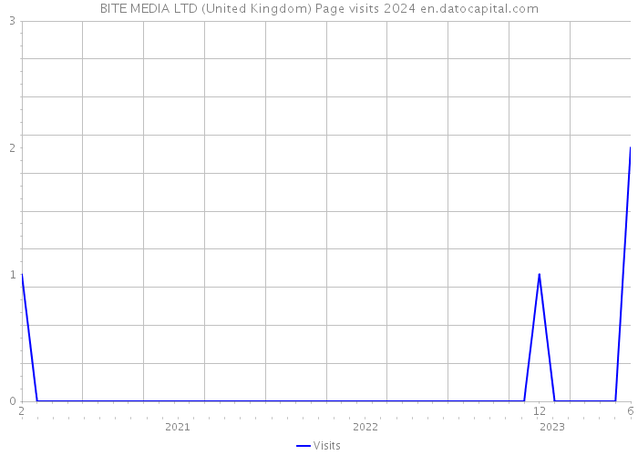 BITE MEDIA LTD (United Kingdom) Page visits 2024 