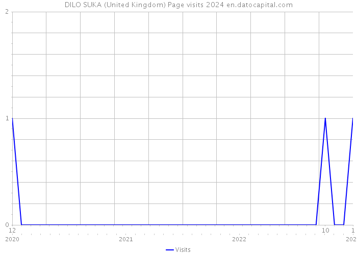 DILO SUKA (United Kingdom) Page visits 2024 