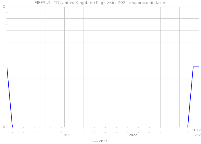 FIBERUS LTD (United Kingdom) Page visits 2024 