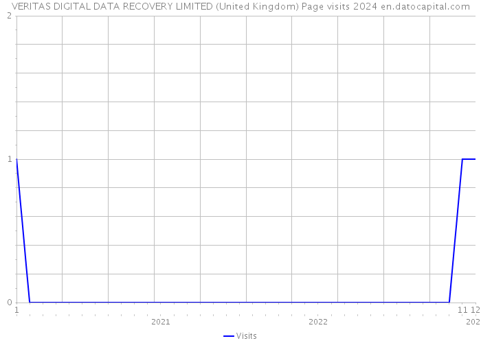 VERITAS DIGITAL DATA RECOVERY LIMITED (United Kingdom) Page visits 2024 
