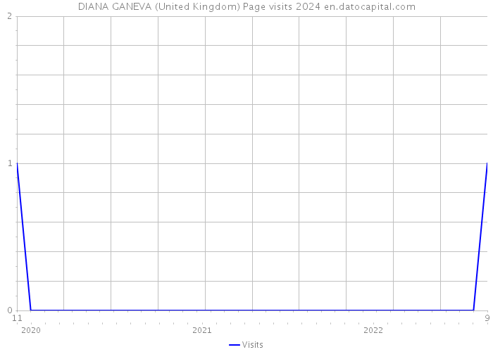 DIANA GANEVA (United Kingdom) Page visits 2024 