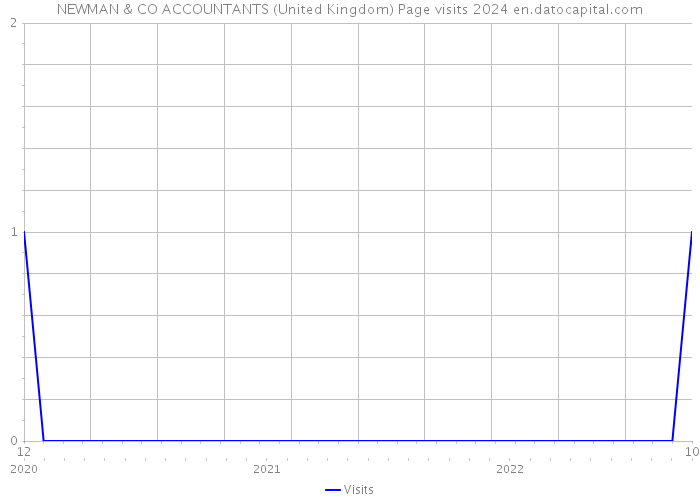 NEWMAN & CO ACCOUNTANTS (United Kingdom) Page visits 2024 