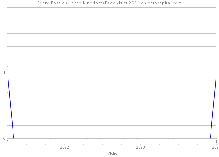 Pedro Bossio (United Kingdom) Page visits 2024 