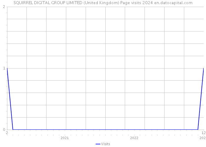 SQUIRREL DIGITAL GROUP LIMITED (United Kingdom) Page visits 2024 