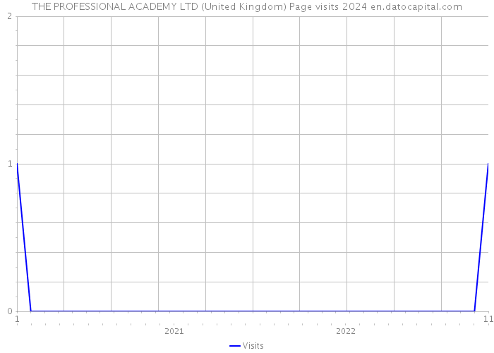 THE PROFESSIONAL ACADEMY LTD (United Kingdom) Page visits 2024 