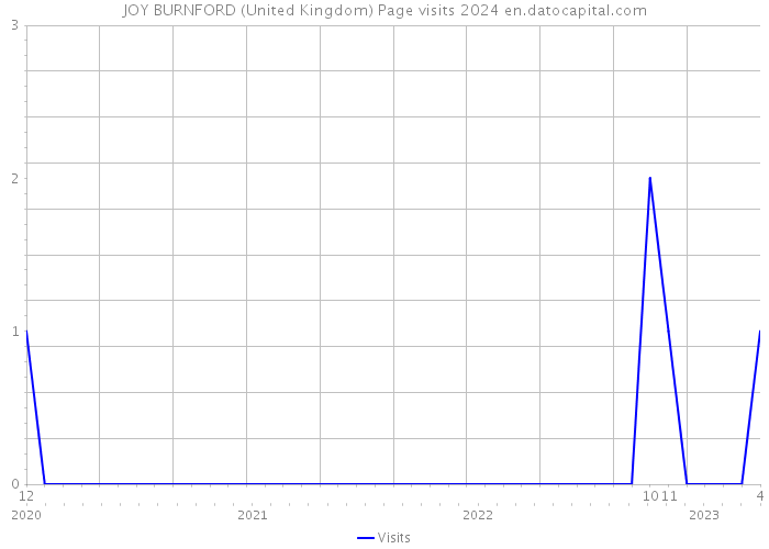 JOY BURNFORD (United Kingdom) Page visits 2024 