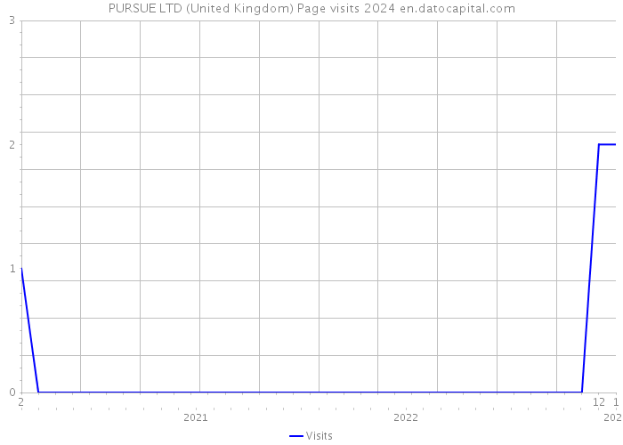 PURSUE LTD (United Kingdom) Page visits 2024 