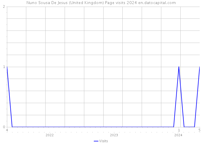 Nuno Sousa De Jesus (United Kingdom) Page visits 2024 