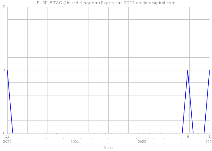 PURPLE TAG (United Kingdom) Page visits 2024 