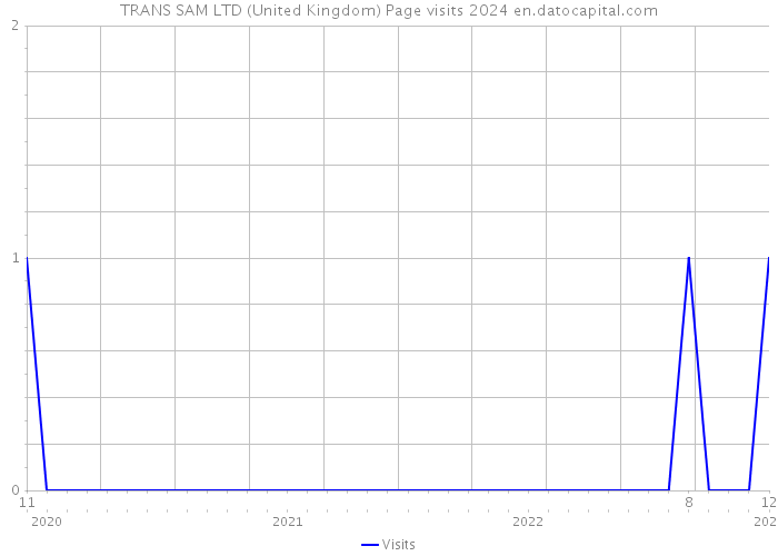 TRANS SAM LTD (United Kingdom) Page visits 2024 