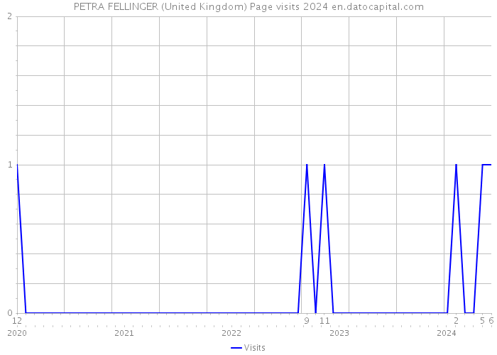 PETRA FELLINGER (United Kingdom) Page visits 2024 