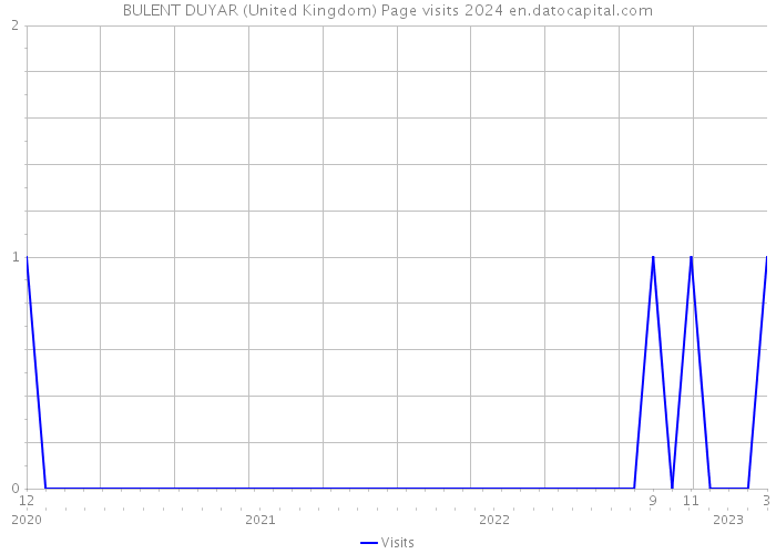 BULENT DUYAR (United Kingdom) Page visits 2024 