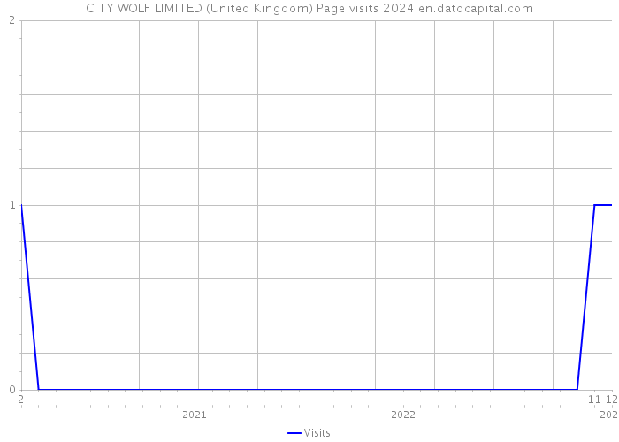 CITY WOLF LIMITED (United Kingdom) Page visits 2024 
