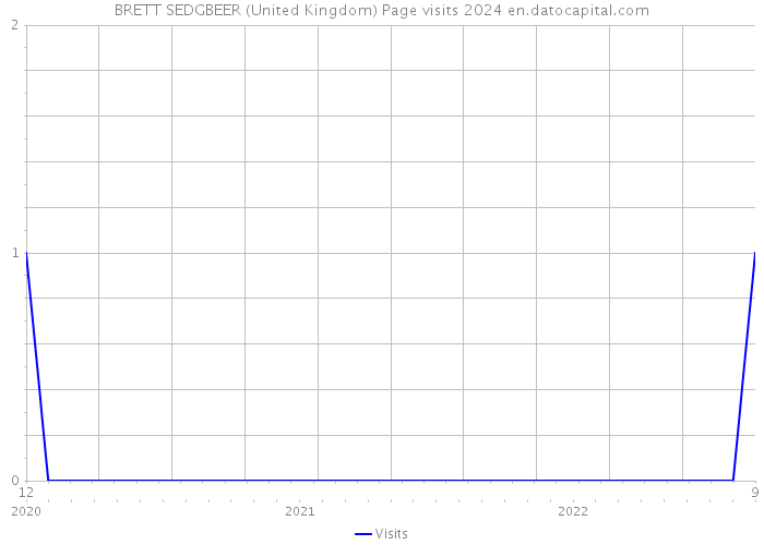 BRETT SEDGBEER (United Kingdom) Page visits 2024 