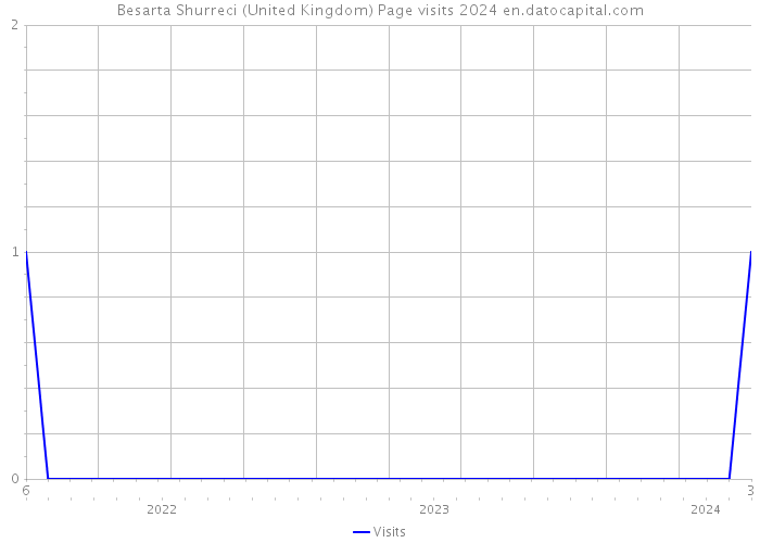 Besarta Shurreci (United Kingdom) Page visits 2024 