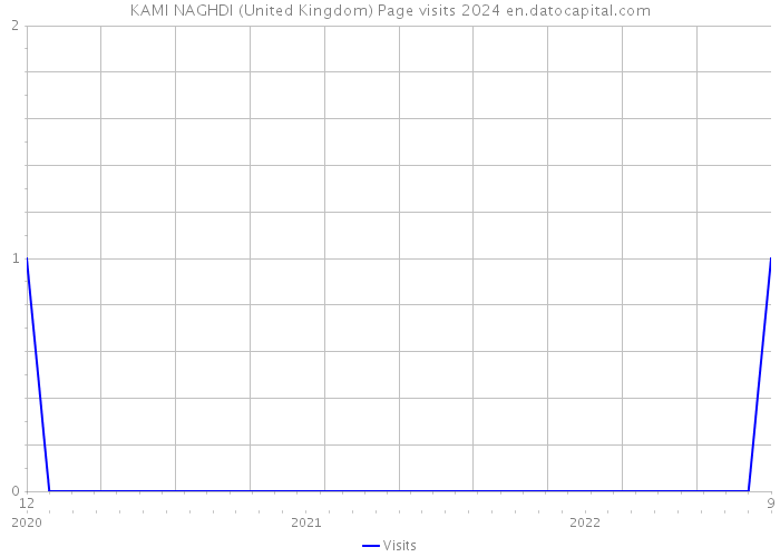 KAMI NAGHDI (United Kingdom) Page visits 2024 