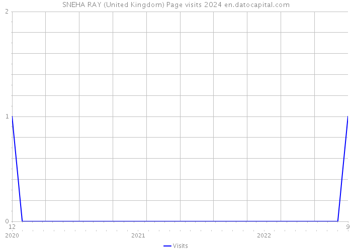 SNEHA RAY (United Kingdom) Page visits 2024 