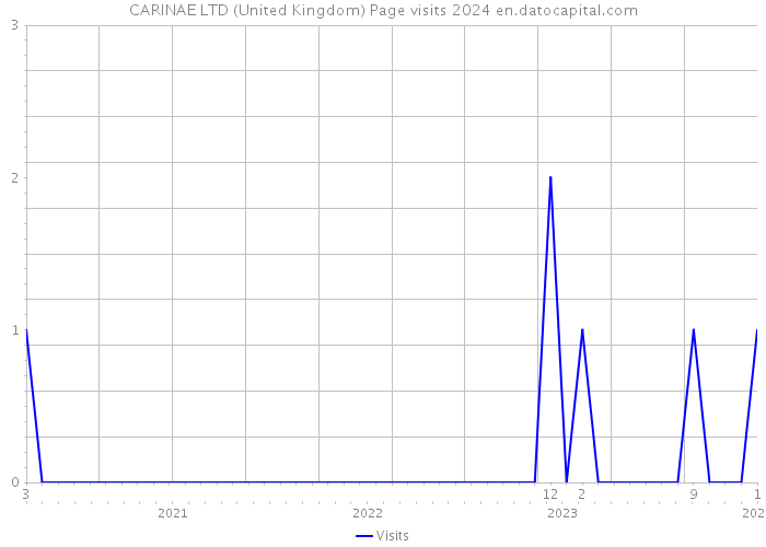 CARINAE LTD (United Kingdom) Page visits 2024 