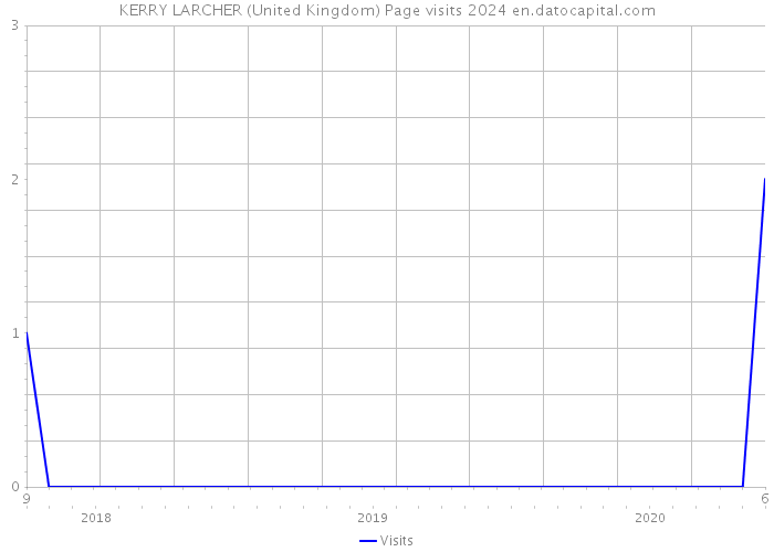 KERRY LARCHER (United Kingdom) Page visits 2024 