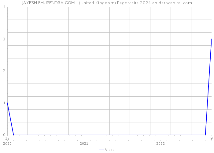 JAYESH BHUPENDRA GOHIL (United Kingdom) Page visits 2024 