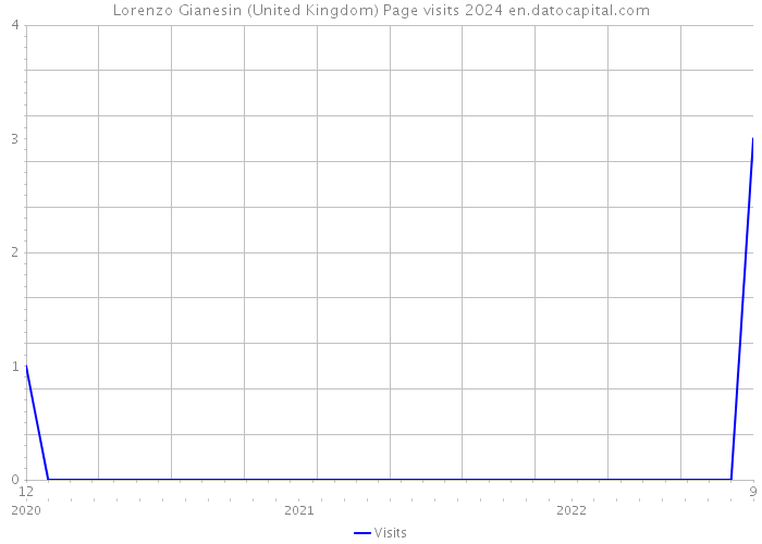 Lorenzo Gianesin (United Kingdom) Page visits 2024 